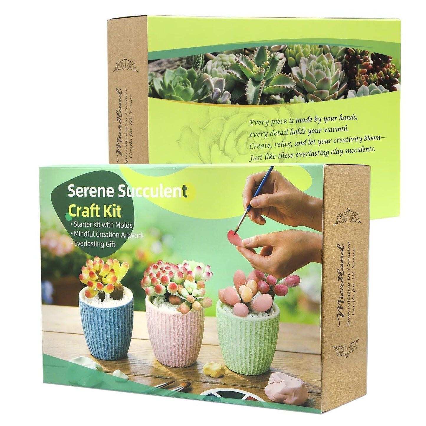 Microland Craft Kits for Teens Crafty Clay Kit for Succulents Flower Making Fun Adult Activities of Arts and Crafts Art Therapy Crafting Set Creative Gift for Artist Girl Mothers Day Gift for Mom Wife