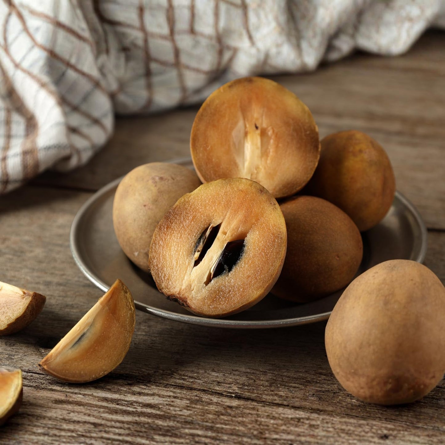 10 Sapodilla Tree Seeds, Sapote Fruit Seeds, Easy Grow Tropical Tree Starter