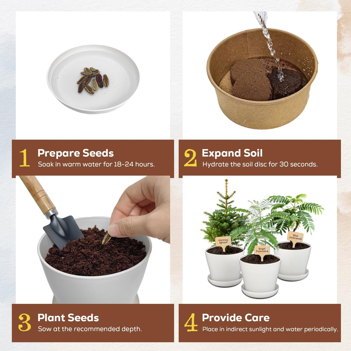 Jacaranda Bonsai Starter Kit – Complete DIY Indoor Growing Kit with Tools, Planter & Guide | Unique Gardening Gifts for Beginners, Women, Men, Mom & Dad | Live Plant Craft Hobby Set