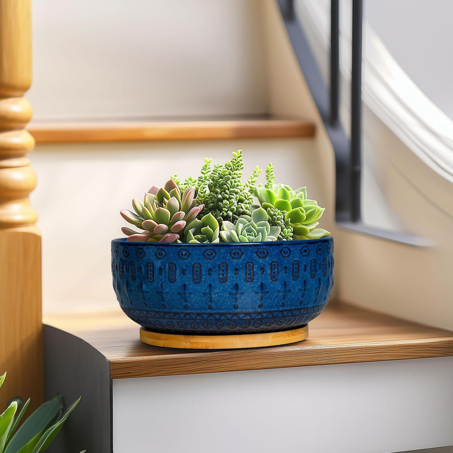 Fivepot Bonsai Pots - 8 Inch Ceramic Succulent Pots with Drainage Hole and Saucer, Planters for Indoor Plants, Modern Round Decorative Flower Planter, Home Decor, Housewarming Gifts, Blue
