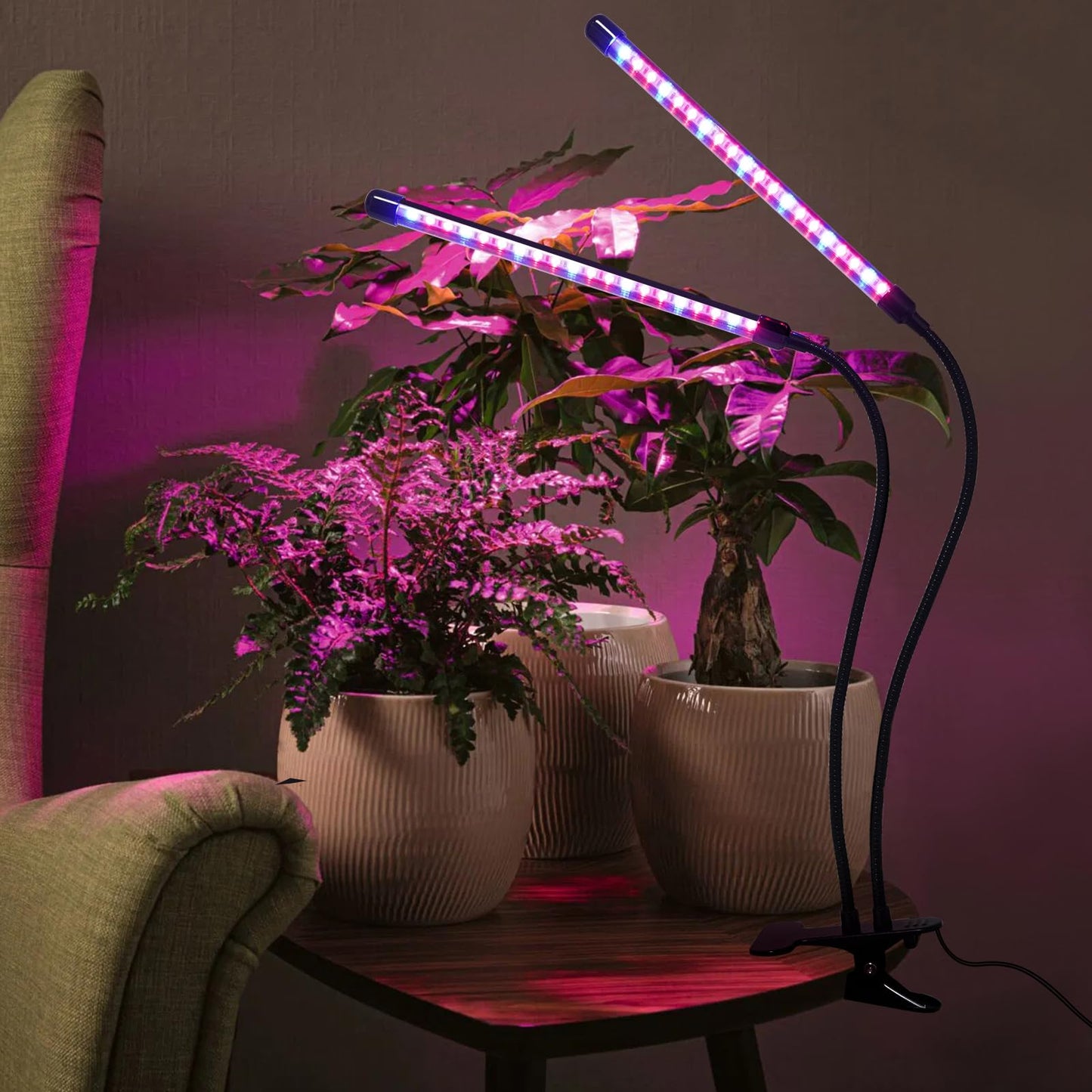ladate Solar Grow Lights with Batteries, 2 Heads Clip Plant Growing Lamp with Red Blue Spectrum for Indoor Plants, 3/9/12H Timer, 3 Dimmable Level, Adjustable Gooseneck,3 Switch Modes, Auto On Off