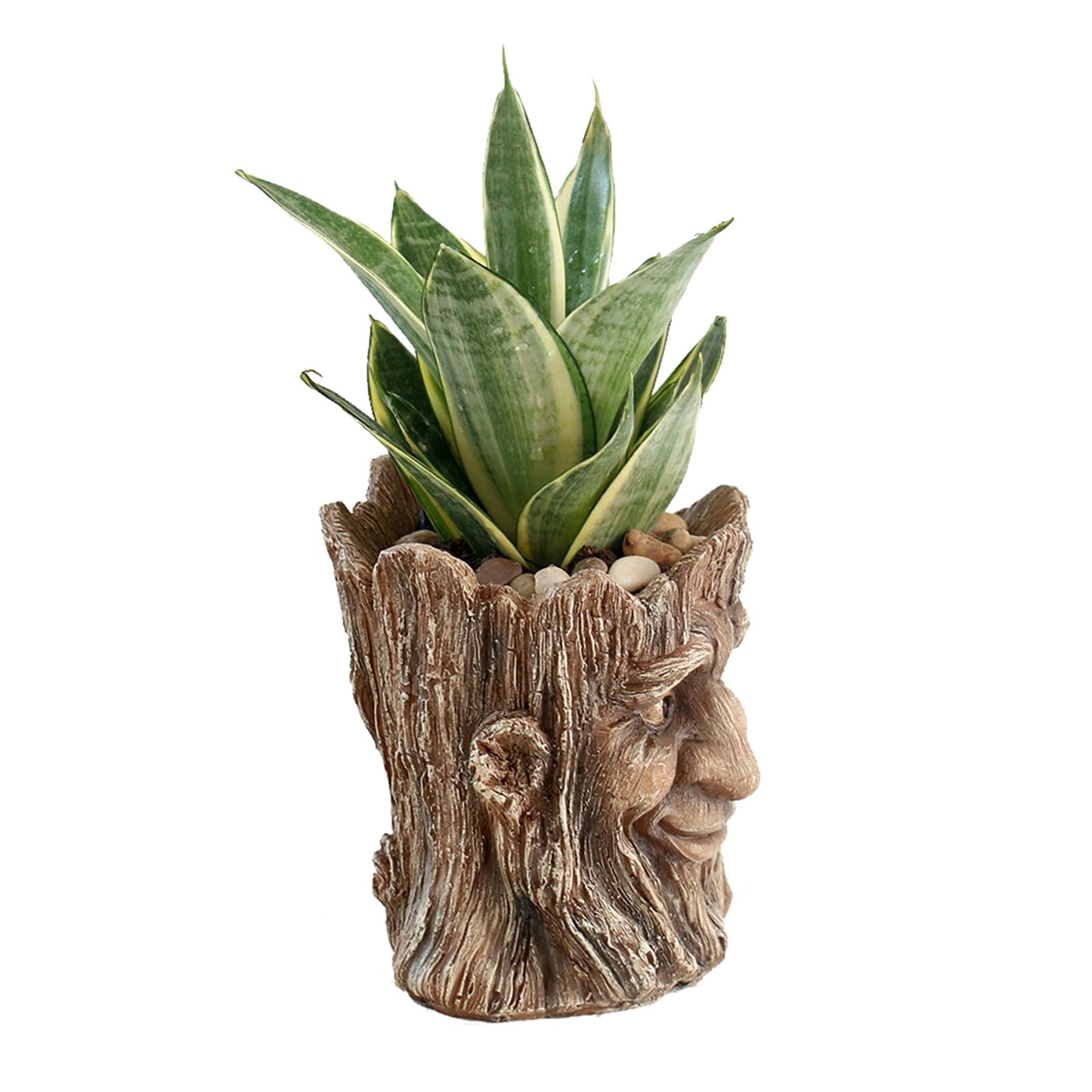 Youfui Funny Planter Head Face Plant Pot with Drainage Hole Resin Succulent Plant Holder Pencil Holder Desk Organizer Office Garden Gift (Smile Face)