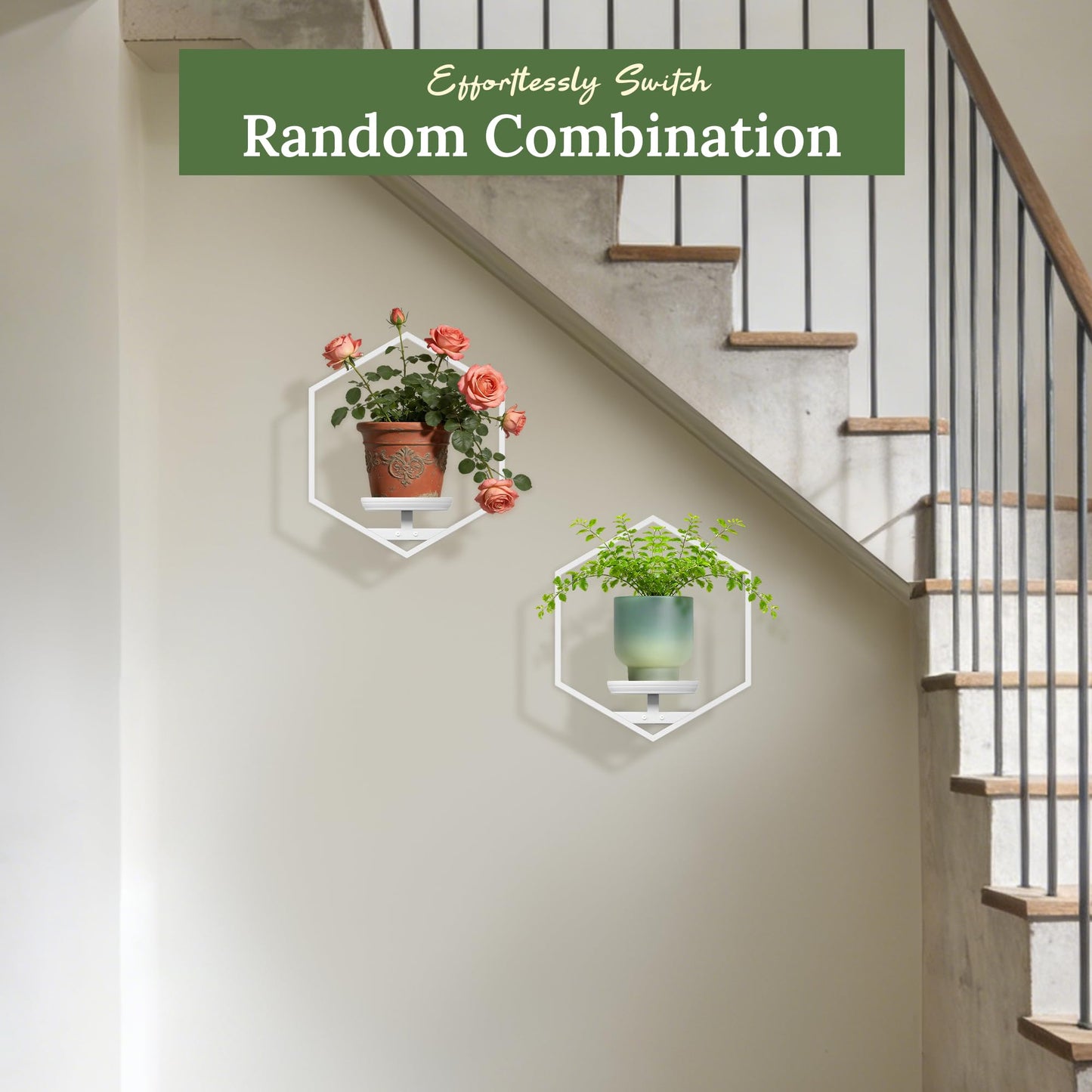 BXF Hexagon Floating Frame Plant Stand - 2 Pack Metal Wall Mounted Planters - Minimalist Geometric Hanging Decor for Indoor Succulents & Air Plants,White