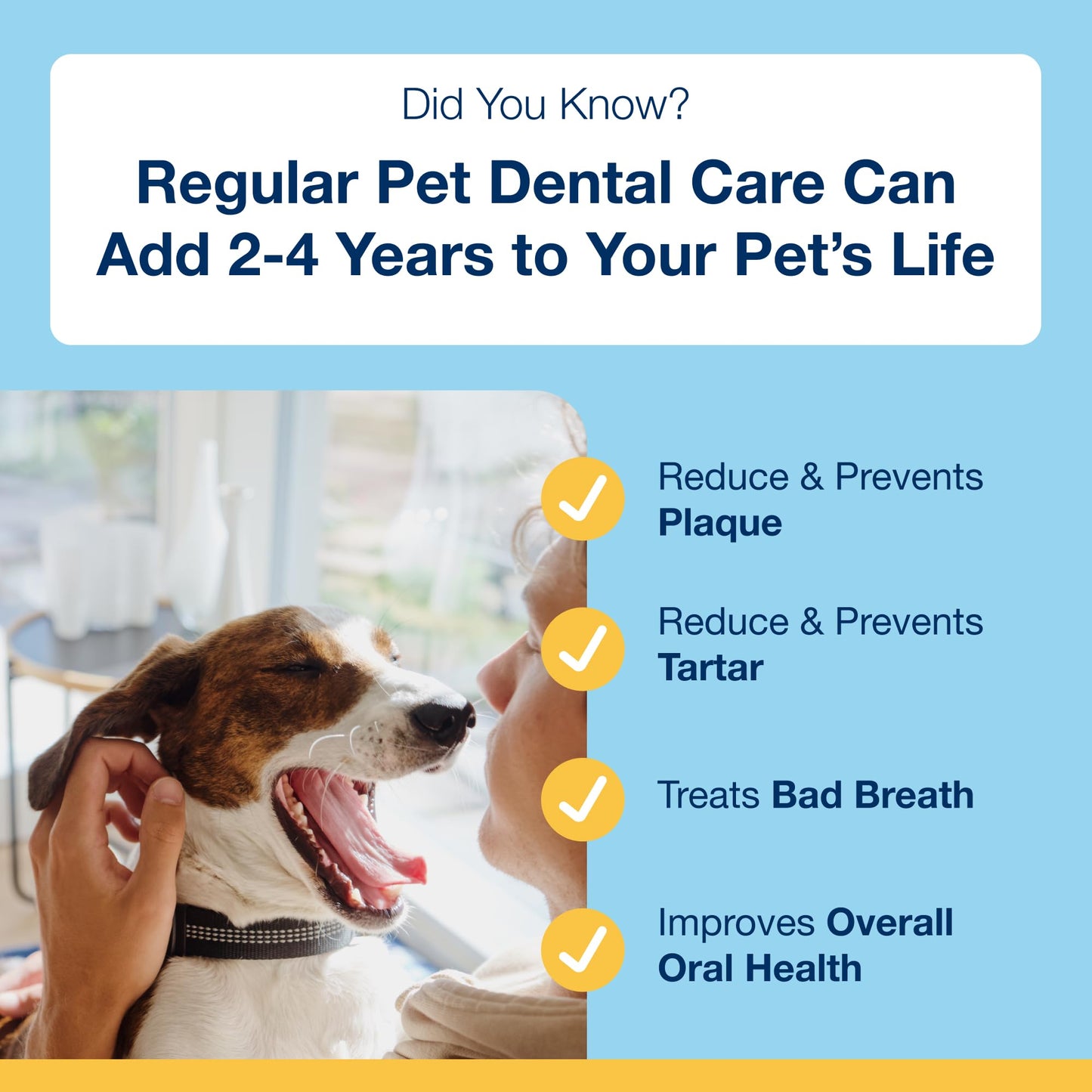 ProDen PlaqueOff 13 Dental Bones for Medium & Large Dogs, Tartar, Plaque & Bad Breath Remover, Improves Overall Oral Health, Pack of 2 (Chicken)