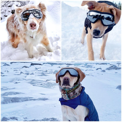 NAMSAN Dog Goggles Medium to Large Dog UV Sunglasses Windproof Anti-Dust Snowproof Pet Glasses with Elastic Straps