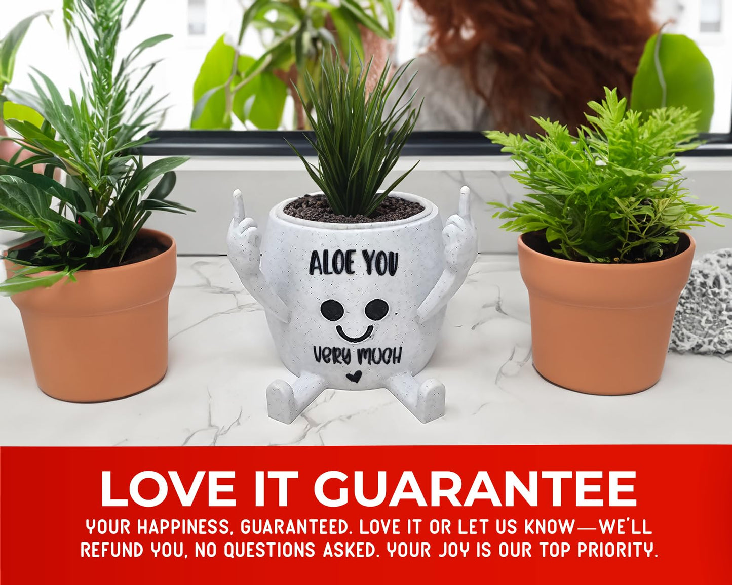Funny Face Head Planter Pot, Unique Small Succulent Flower Pot, Cute Cactus Planter, Indoor Outdoor Home Decor, Office Desk Plant Pot, Novelty Gardening Gift Set (Please Don't Die, Medium)