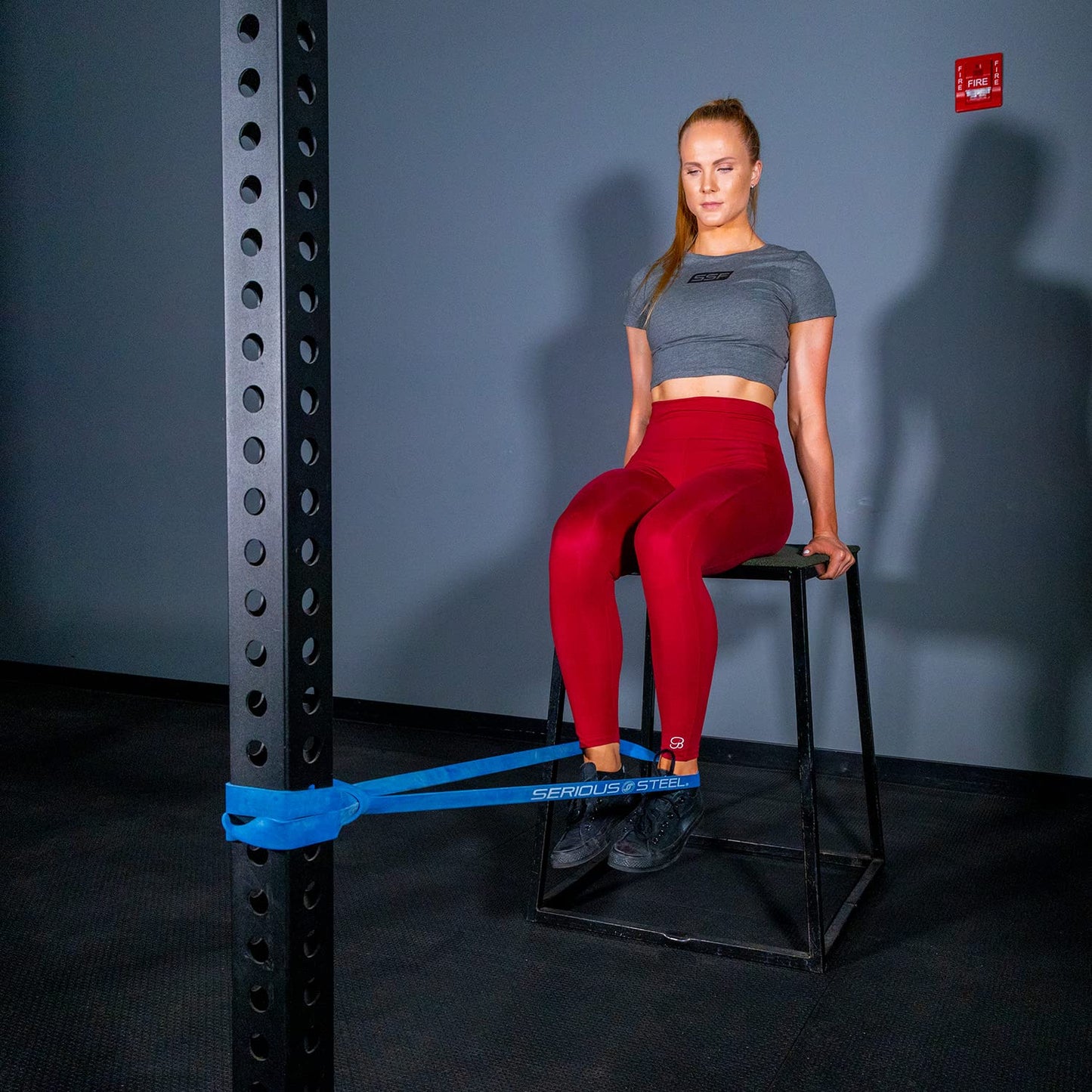 Serious Steel Fitness #3 Pull-Up Assist & Stretching Resistance Band (Size: 1.125" W, Resistance: 20-80Lbs) Pull-Up And Starter Band E-Guide Included Purple