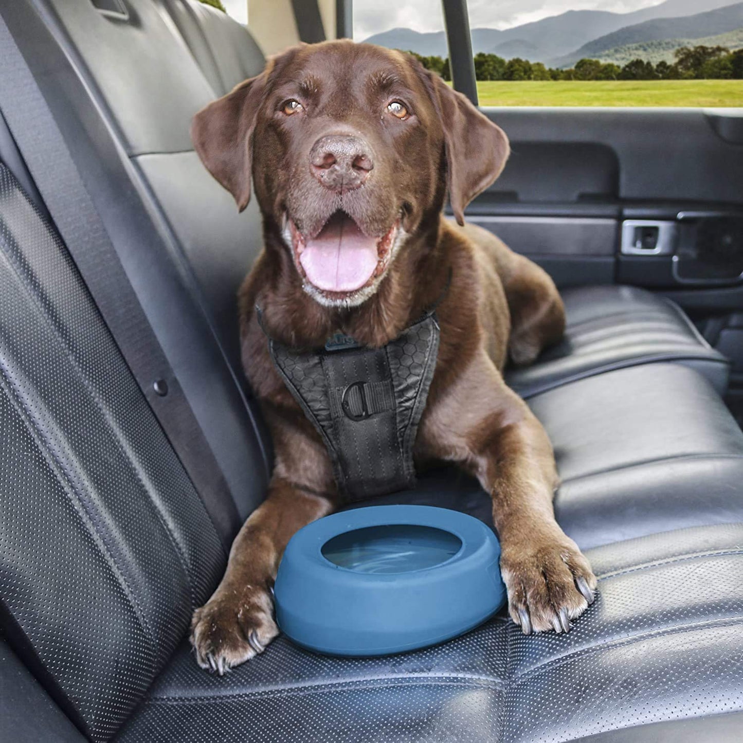 Kurgo Splash Free Wander Water Bowl, Dog Travel Bowl, Prevents Spilling, Holds 710ml, Coastal Blue