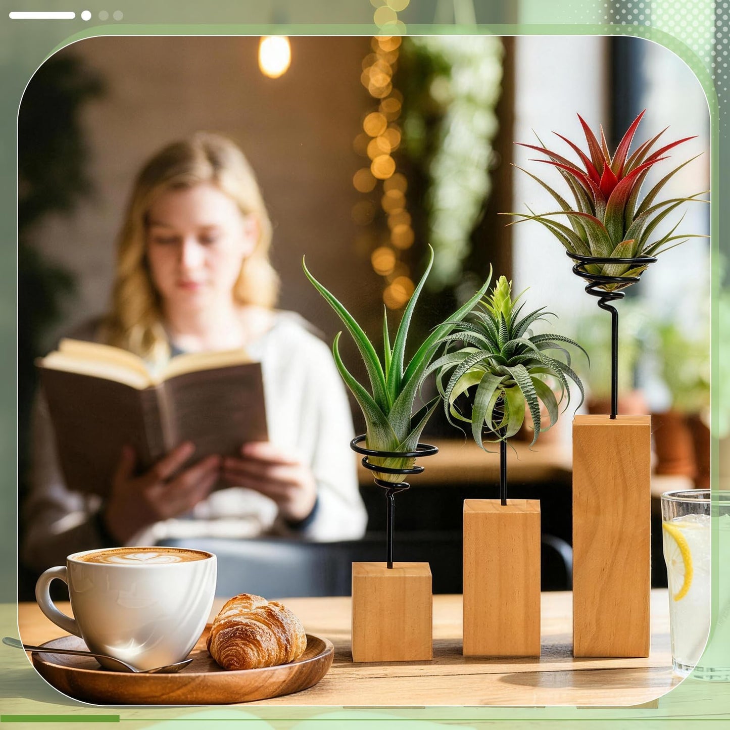 ARQRHTLY 3 Pack Air Plant Holder with Wooden Base, Metal Spiral Tillandsia Stands for Desktop Shelf Display, Decorative 3 Sizes Air Plant Holder for Home Office and Housewarming Gift