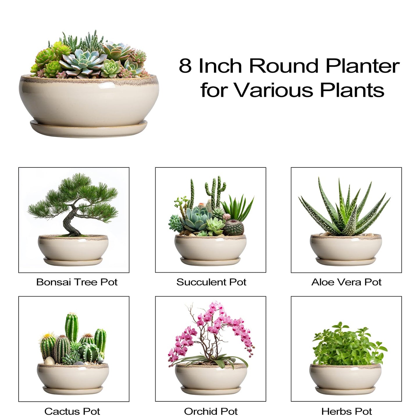 SQOWL Succulent Pots 8 Inch - Ceramic Bonsai Pots for Indoor Plants, Round Shallow Plant Pot with Drainage Hole and Saucer, Bowl Planter Outdoor, Patio Decor, Plant Lover Gifts, Beige