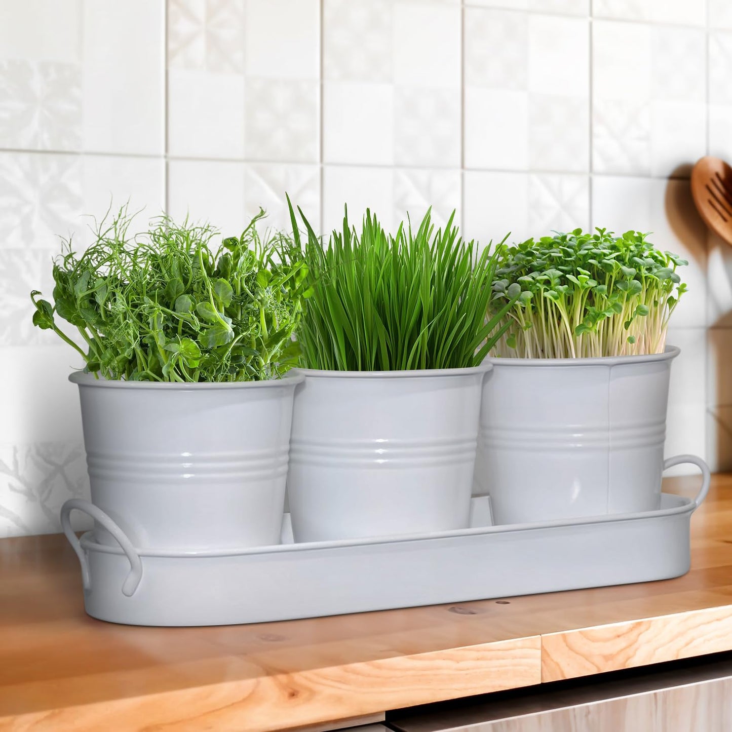 Plexon Herb Planter Indoor Garden Set of 3 with Tray, Metal Herb Pots for Indoor Plants, Round Kitchen Garden Kit Ideal for Windowsill Planter or Countertop, White Powder Coated