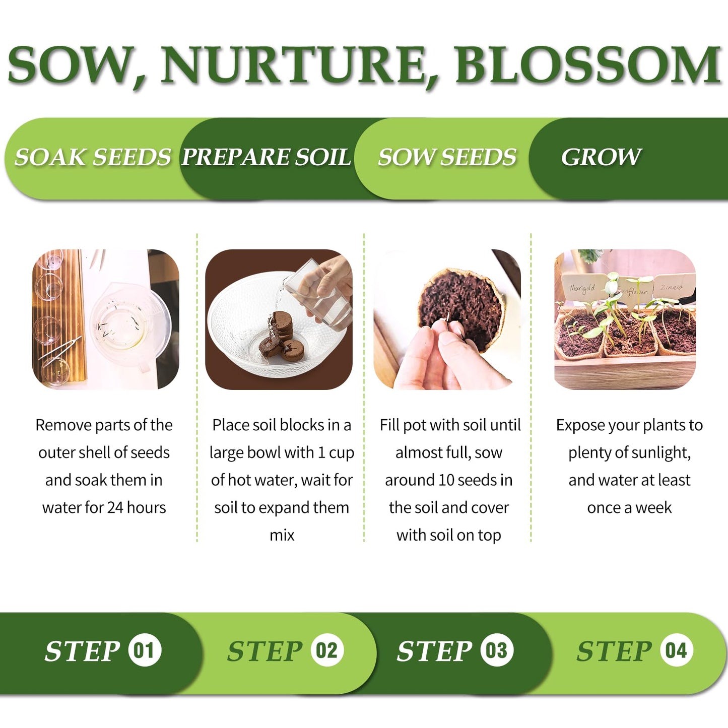 5 DIY Bonsai Tree Kit for Beginners, Complete Indoor Gardening Starter Kit with Seeds, Soils, Pots & Tools, Unique Birthday Gifts Ideas for Women, Men