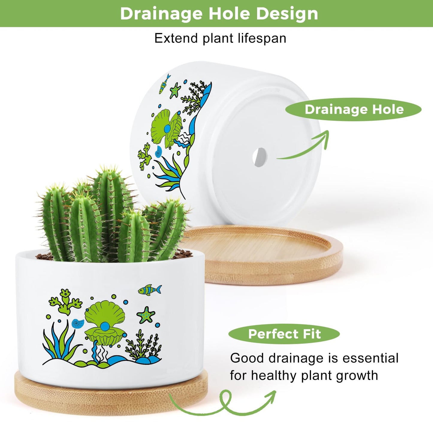 KONROOWEI 3 Pcs Coastal Beach Room Decor Plant Pots,Funny Planter Gifts for Women,for Indoor Plants Garden Planters Succulent Pots, with Drainage Holes and Saucer(No Plants)