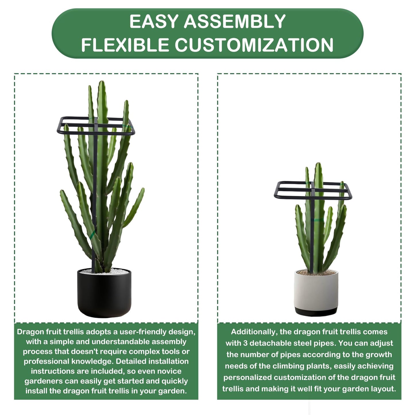2 Pcs Dragon Fruit Trellis, Dragon Fruit Plant Trellis, 47.5 Inch Metal Garden Plant Climbing Support with Wide Stretch Ties for Outdoor Vertical Gardens Vining Plants