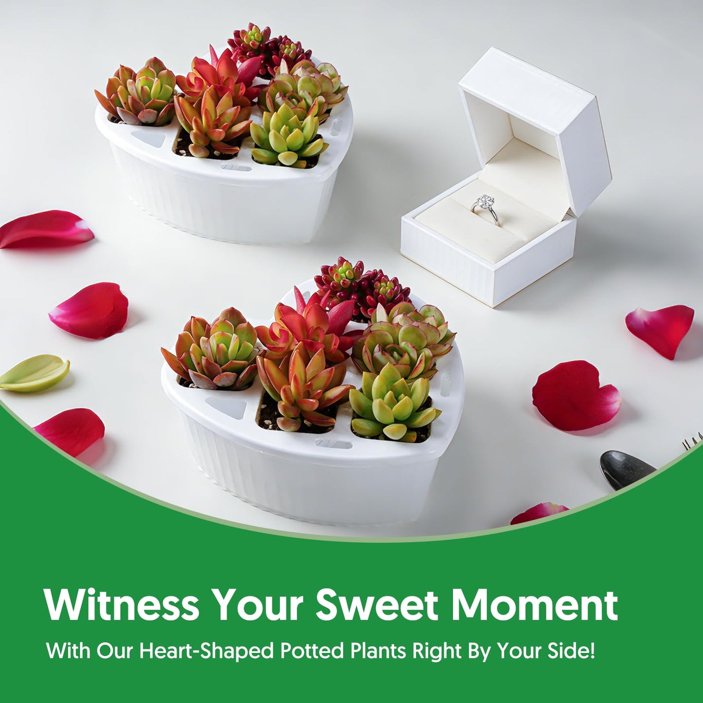 Sprout N Green 6 Live Succulents in Heart Shaped Planter, Assorted Lovely Plants for Mother's Day Valentine's Day Anniversary Housewarming, Romantic Birthday Gift for Your Lover Girlfriend Wife