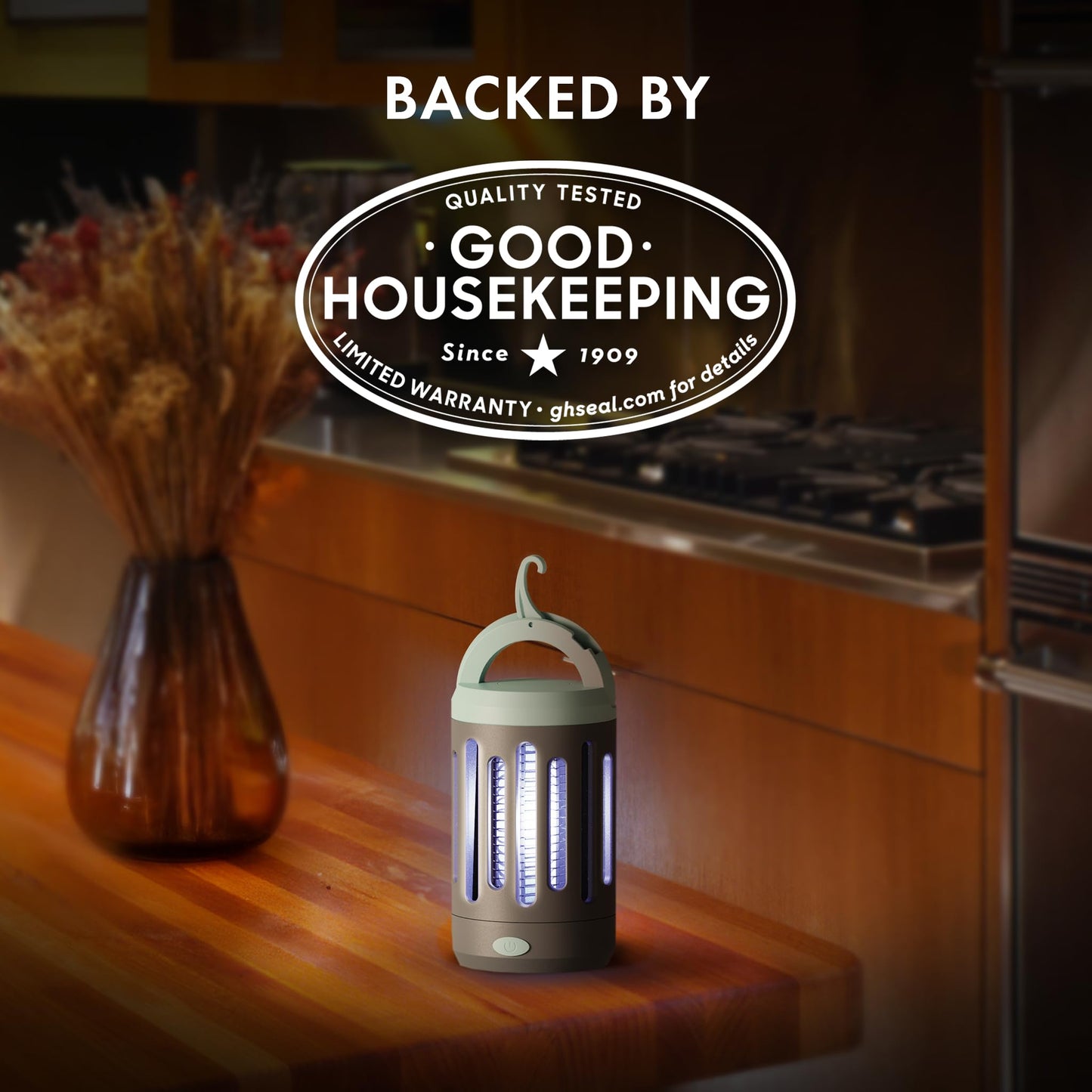 STEM Flying Insect Zapper, Indoor and Outdoor Electric Fly & Mosquito Trap, Includes Micro-USB Charging Cable and Brush for Cleaning