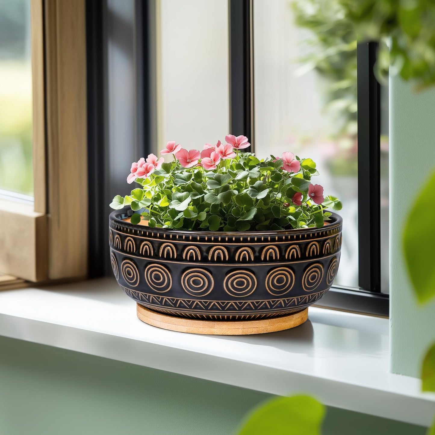 Eightpot Ceramic Bonsai Pots - 8 Inch Plant Pot for Succulent, Round Planter for Indoor Plants, Shallow Planters with Drainage Hole and Tray, Boho Bonsai Bowl, Living Room Decor, Black