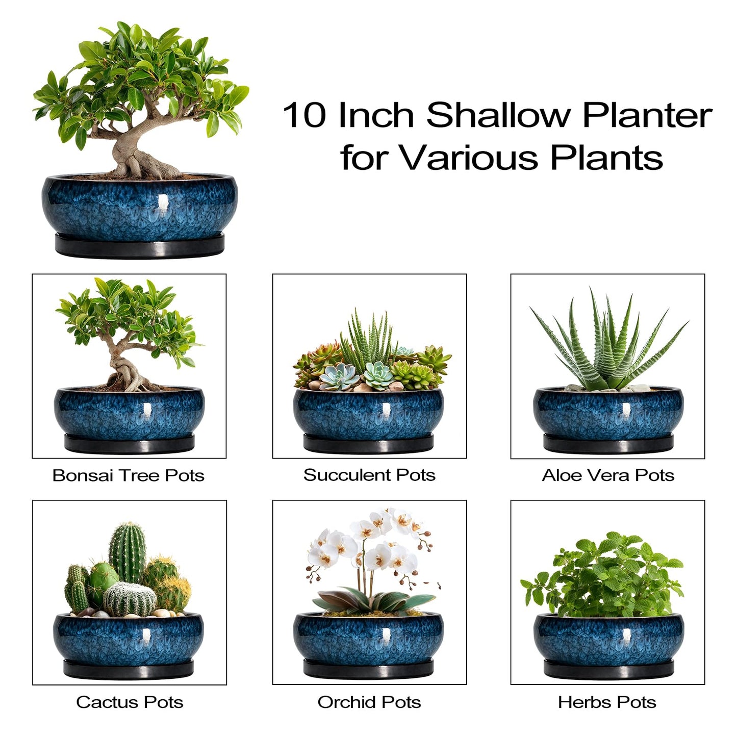 EPFamily Bonsai Tree Pots 10 Inch - Ceramic Succulent Pot with Drainage Hole and Saucer, Bonsai Pots for Indoor Outdoor, Round Succulent Planter, Shallow Planter, Desk Decor, Plant Lover Gifts, Blue