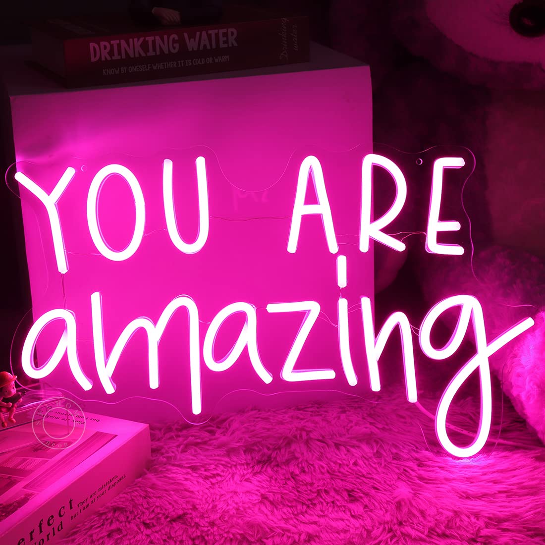 SYLHOME You Are Amazing LED Neon Light Sign 5V Girls Boys Bedroom Living Room Classroom Wall Decor Sign Hanging Smart Kid Birthday USB 16.9" X 10.6" Warm White