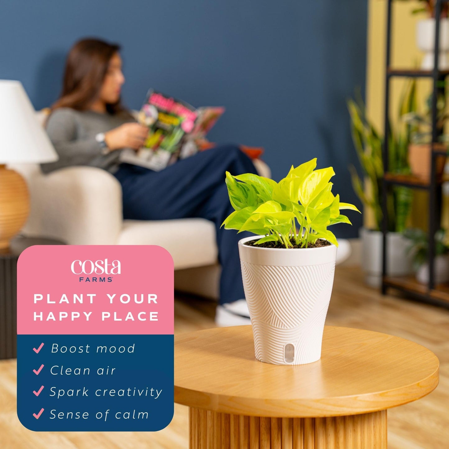 Costa Farms Champs Élysées Pothos Live Plant in Self Watering Pot, Indoor Houseplant, Trailing Vining, Perfect for Home, Room, or Office Decor, Great House Warming or Birthday Gift, 12-14 Inches Tall