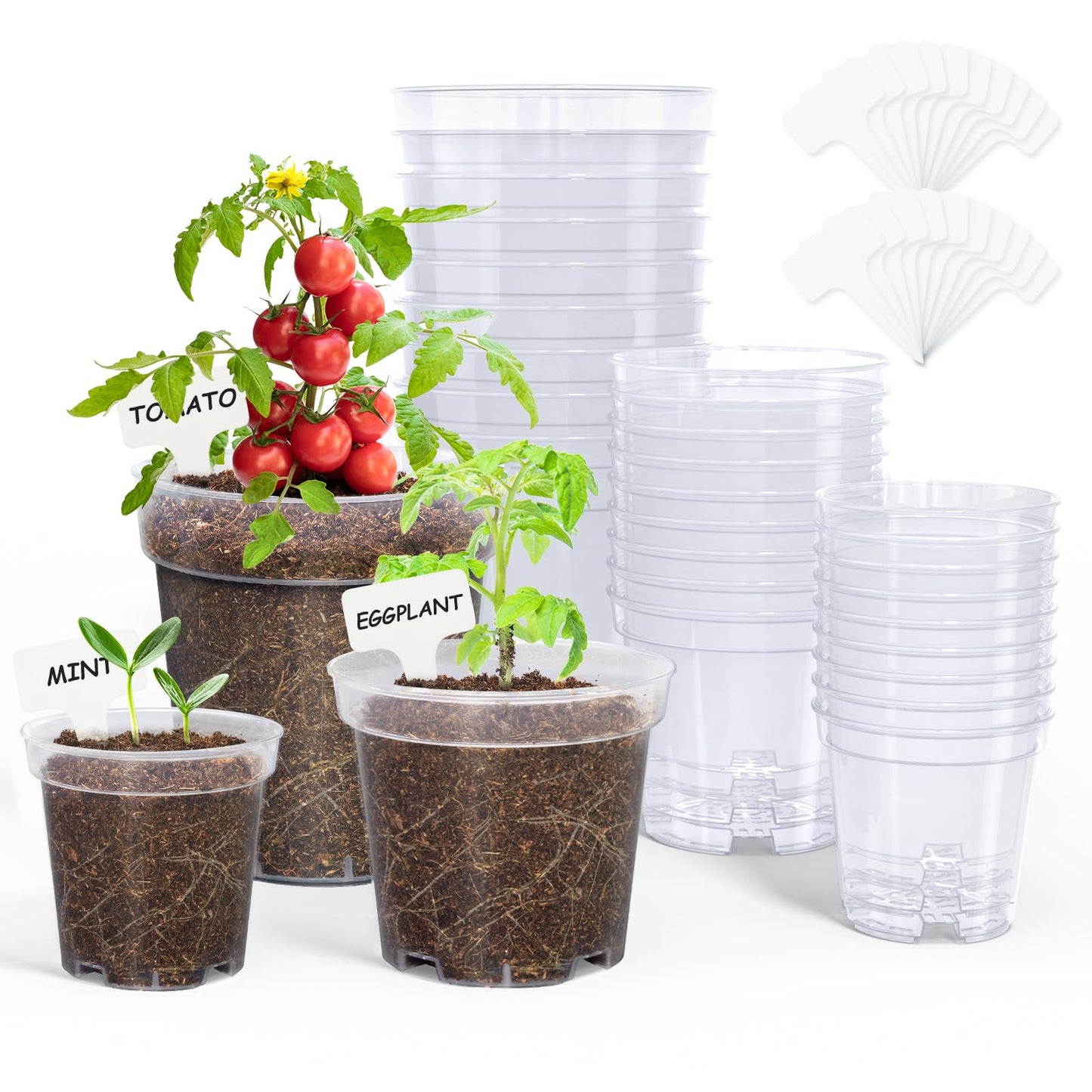 homenote Nursery Pots 30 Pack,3/4/5 Inch Plant Pot for Planting, Clear Nursery Pots for Plant,Plastic Seedling with Drainage Holes Seed Starter Flower High Transparency 20 Labels Excellent Hardness