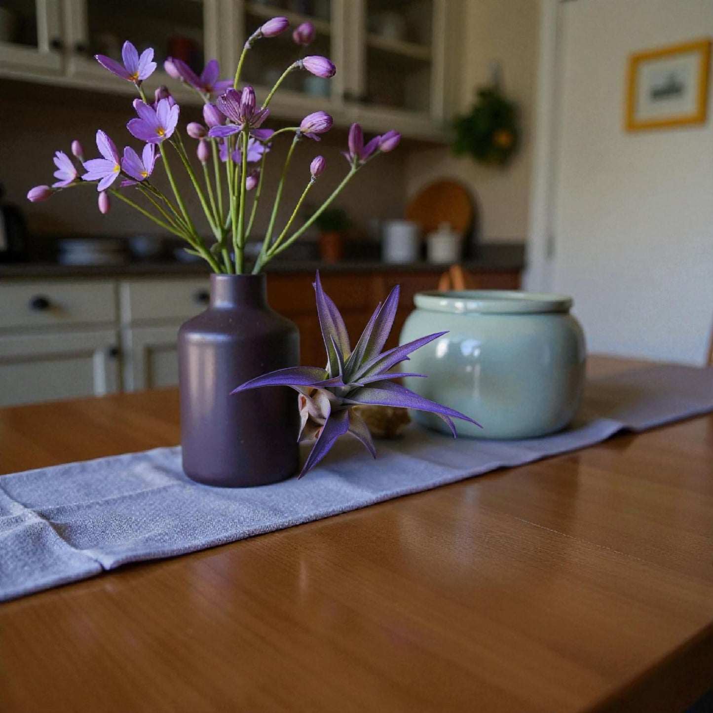 It Blooms - Live Air Plants - 8 Pack Assorted Tillandsia Collection - Easy Care Indoor Houseplants with 30 Day Guarantee