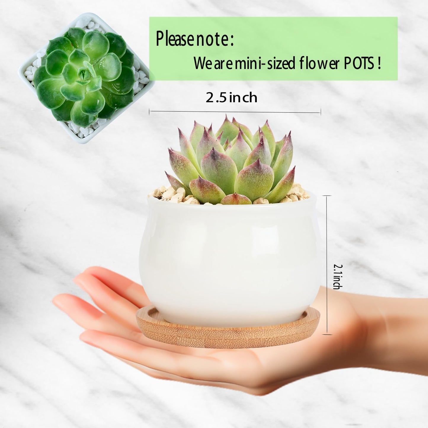 SHECIPIN 2 Pack Succulent Pots, 2.5 Inch Mini Ceramic Pots for Flower or Cactus Plants with Drainage Hole,Plants Not Included (White)