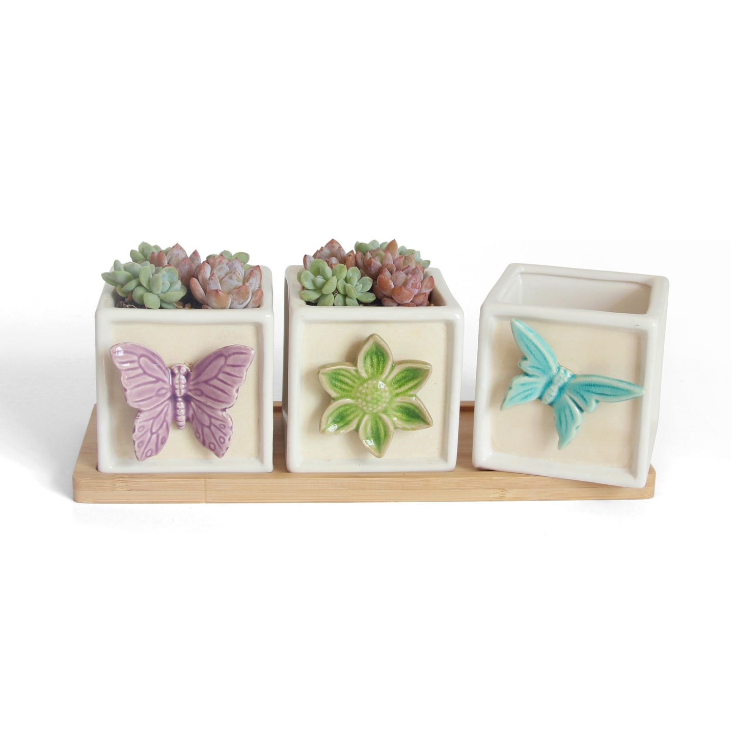 Gnliny 3.1 Inch Ceramic Succulent Pots with Bamboo Tray - 3Pcs Square Planters with Drainage Holes, 3D Butterfly & Flower Design for Indoor Plants, Desk Organizer for Home Office