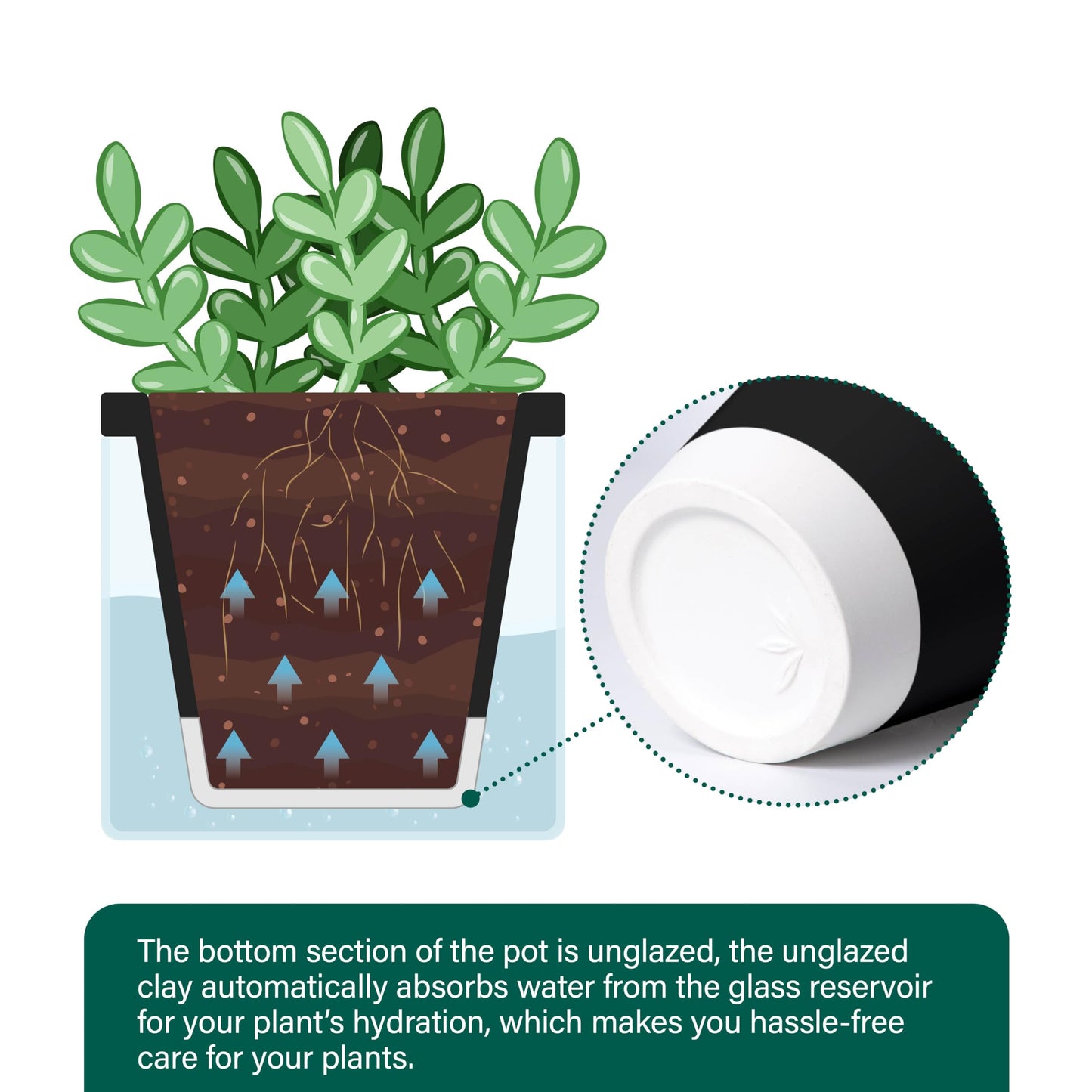 D'vine Dev 4 Inch Design Self Watering Planter for Indoor Plants, Black Terracotta Pot with Cylinder Glass Cup, 37-X-A-3