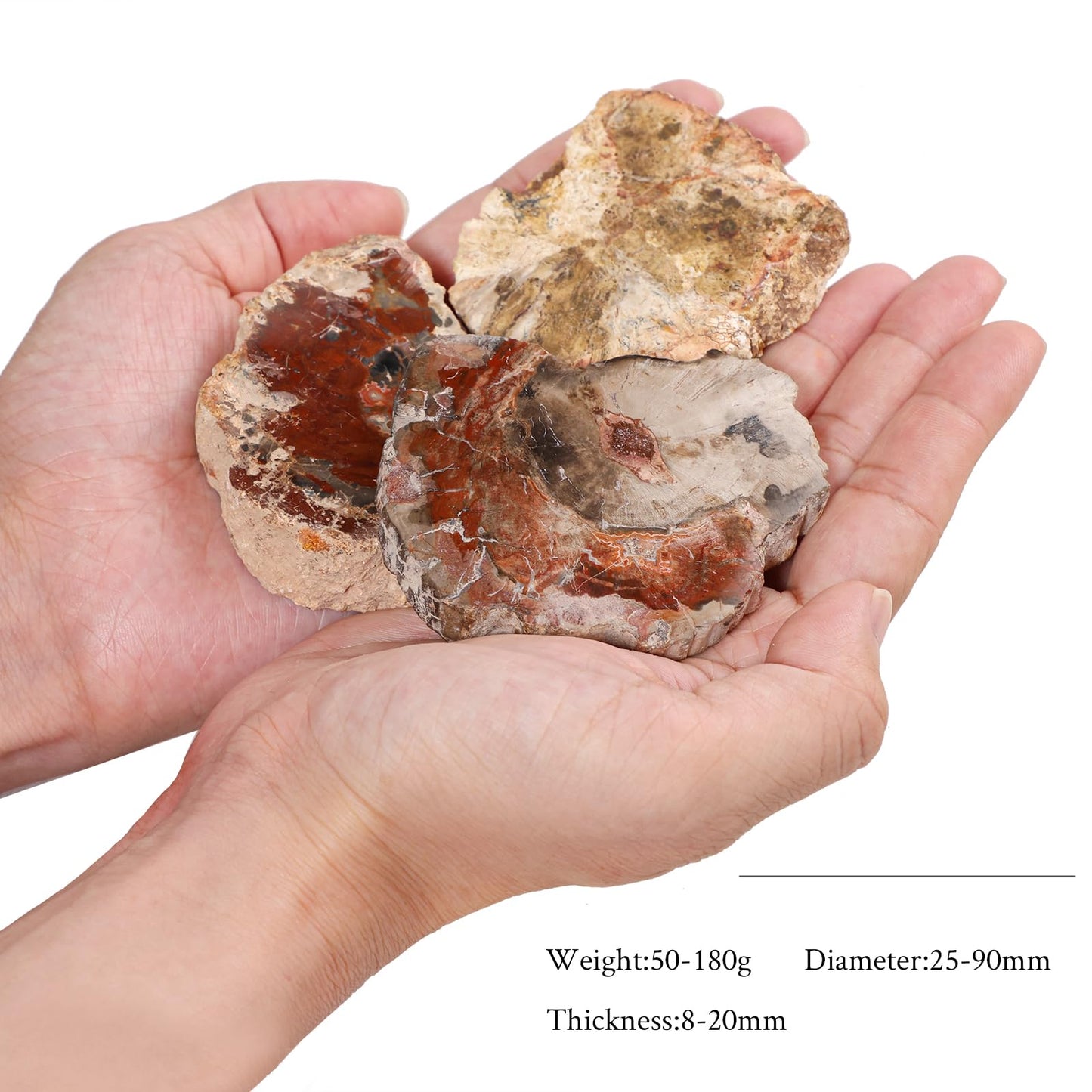 TUMBEELLUWA 5 Pcs Natural Petrified Wood Slabs Fossil Stone Slab for Boho Home Decor, Small Stone Coasters for Coffee Table Desk