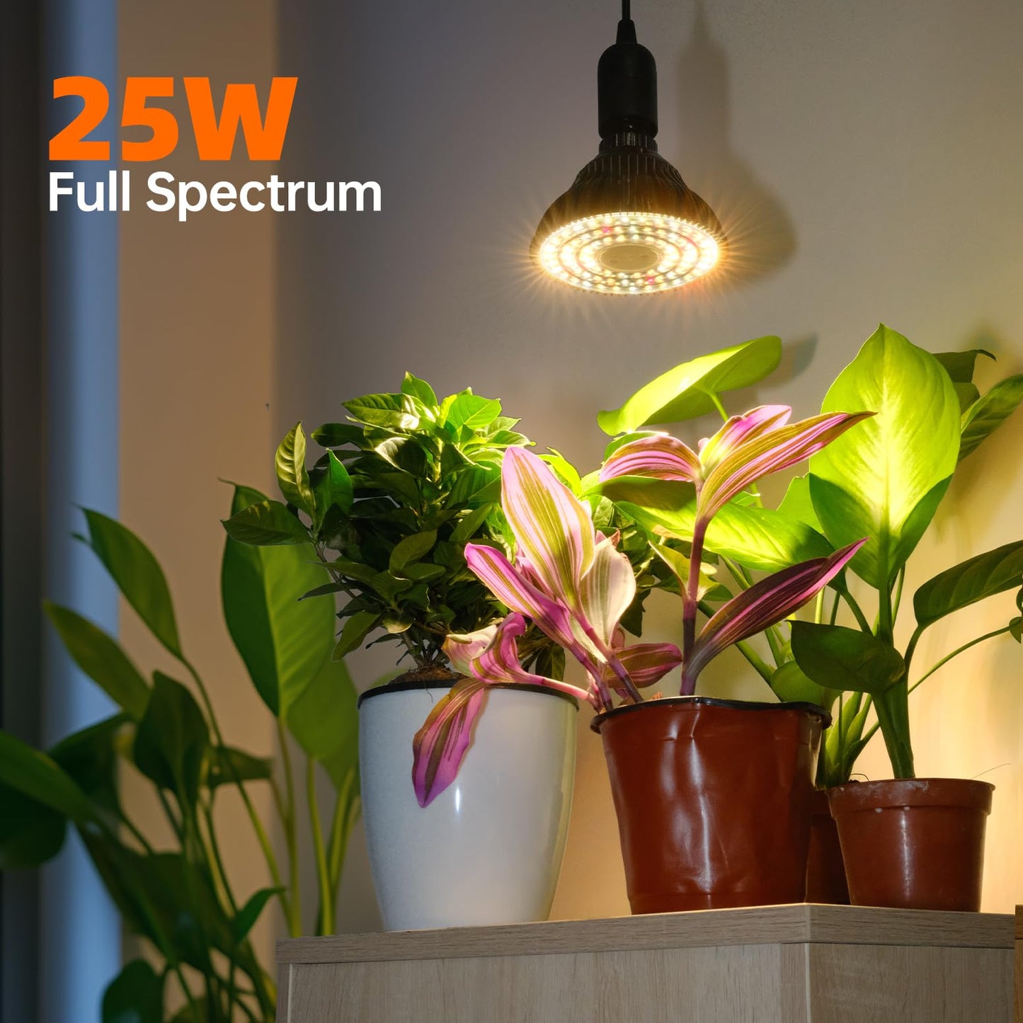 Bstrip Hanging Grow Light for Indoor Plants Full Spectrum, Black Plant Bulb with Optical Lens for Enhanced PPFD, Pendant Grow Light with Timer, 16.4 FT Power Cord, Perfect for Tall Plants and Flowers