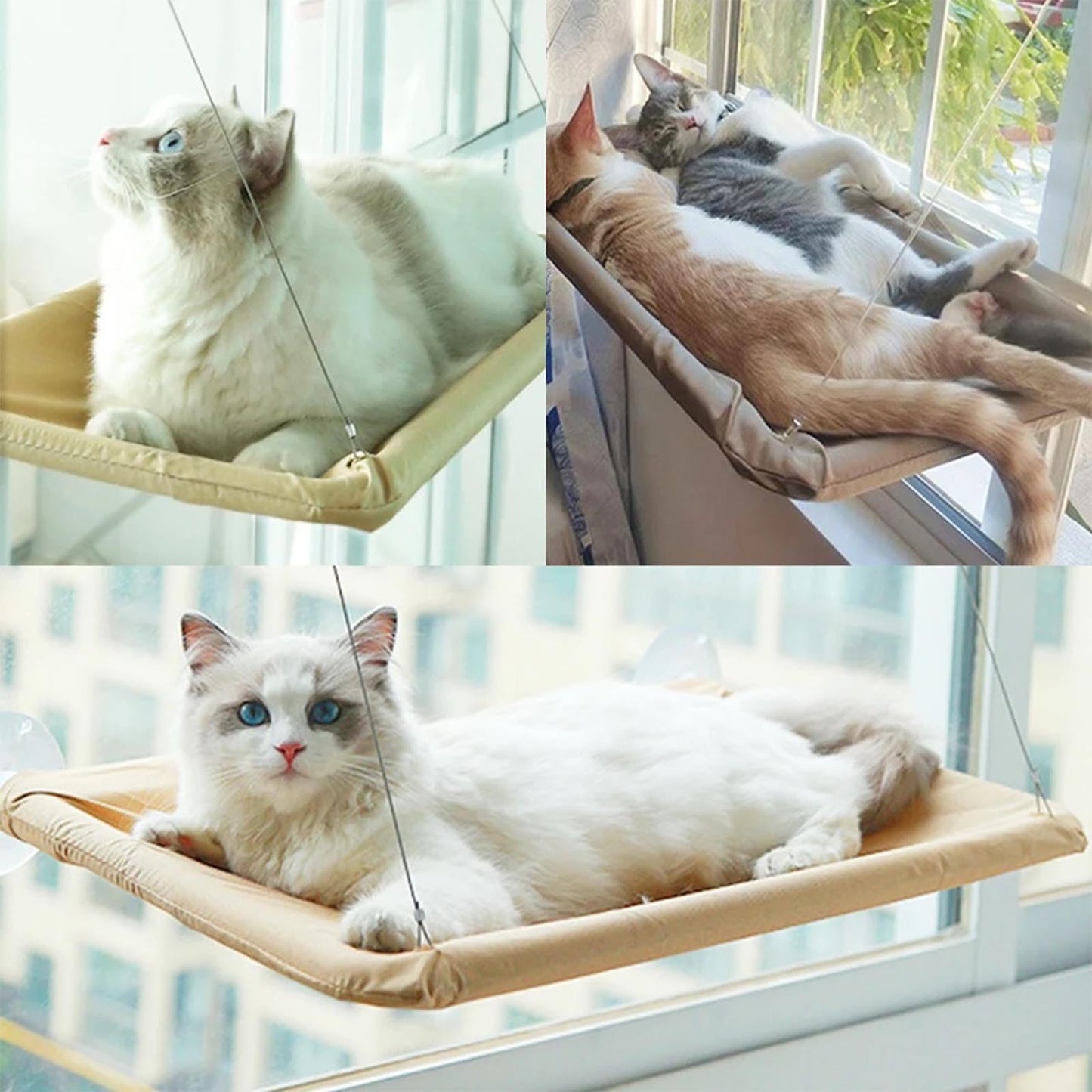 Cat Window Hammock Perch Cat Safety Sunny Bed with Durable Heavy Duty Suction Cups Resting Sunny Window Seat for Indoor Cats Sleeping Space Saving Window Mounted Cat Bed (Khaki)