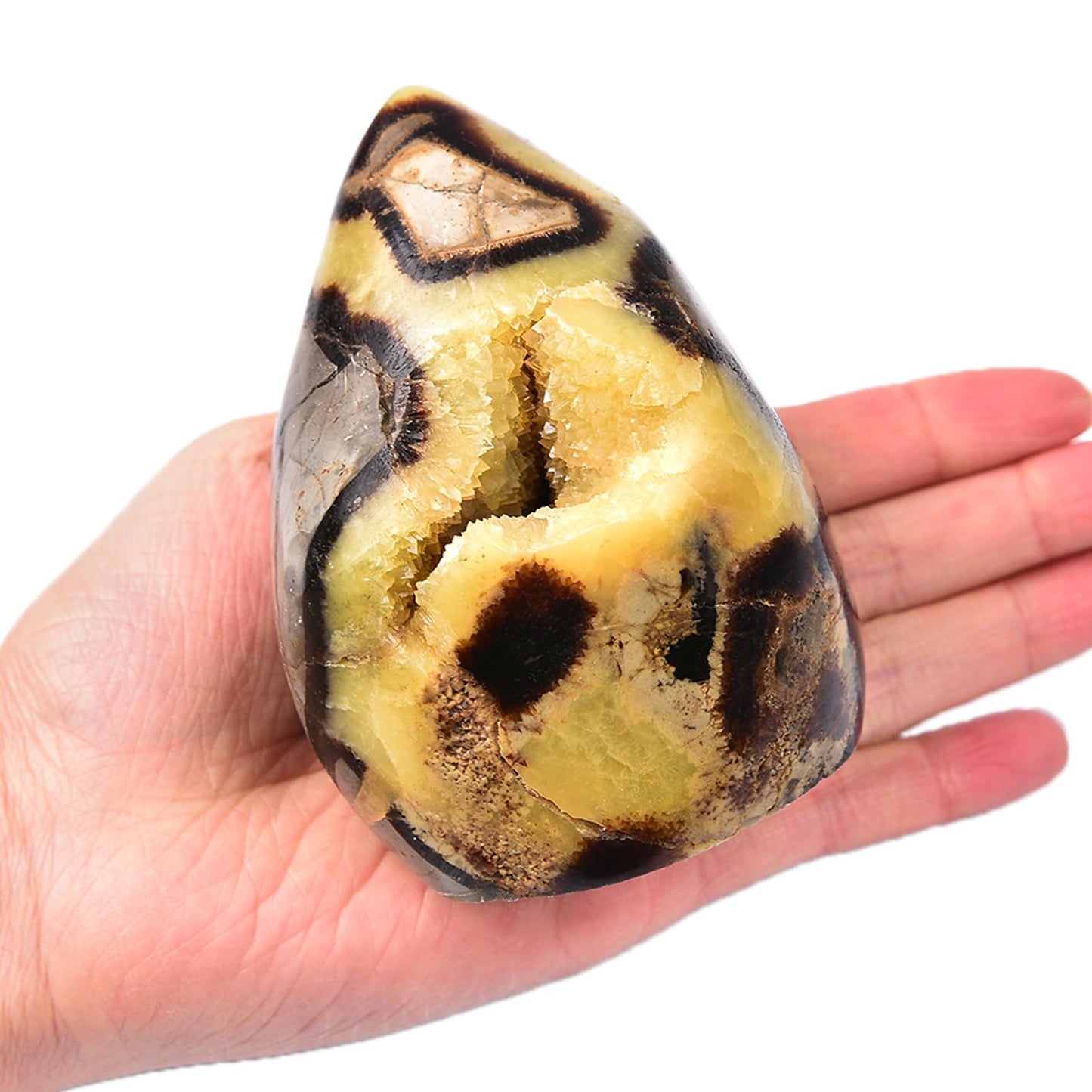 MOGEMT Septarian Geode Rock Healing Crystal Cluster Septarium Irregular Home Decoration Specimen Large 1-1.5 Lbs