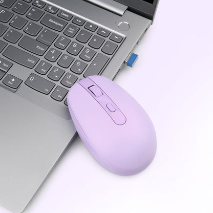 Rii Wireless Mouse RM700 2.4G Silent Mouse with USB Nano Receiver for Laptop,PC,Mac,Chromebook,Windows (Pink)