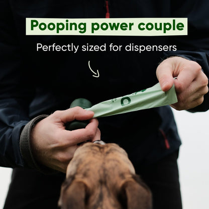 Beco Dog Poop Bags Rolls - Strong & Large - 270 Bags (18 Rolls of 15) Unscented, Dispenser Compatible for Dog Waste