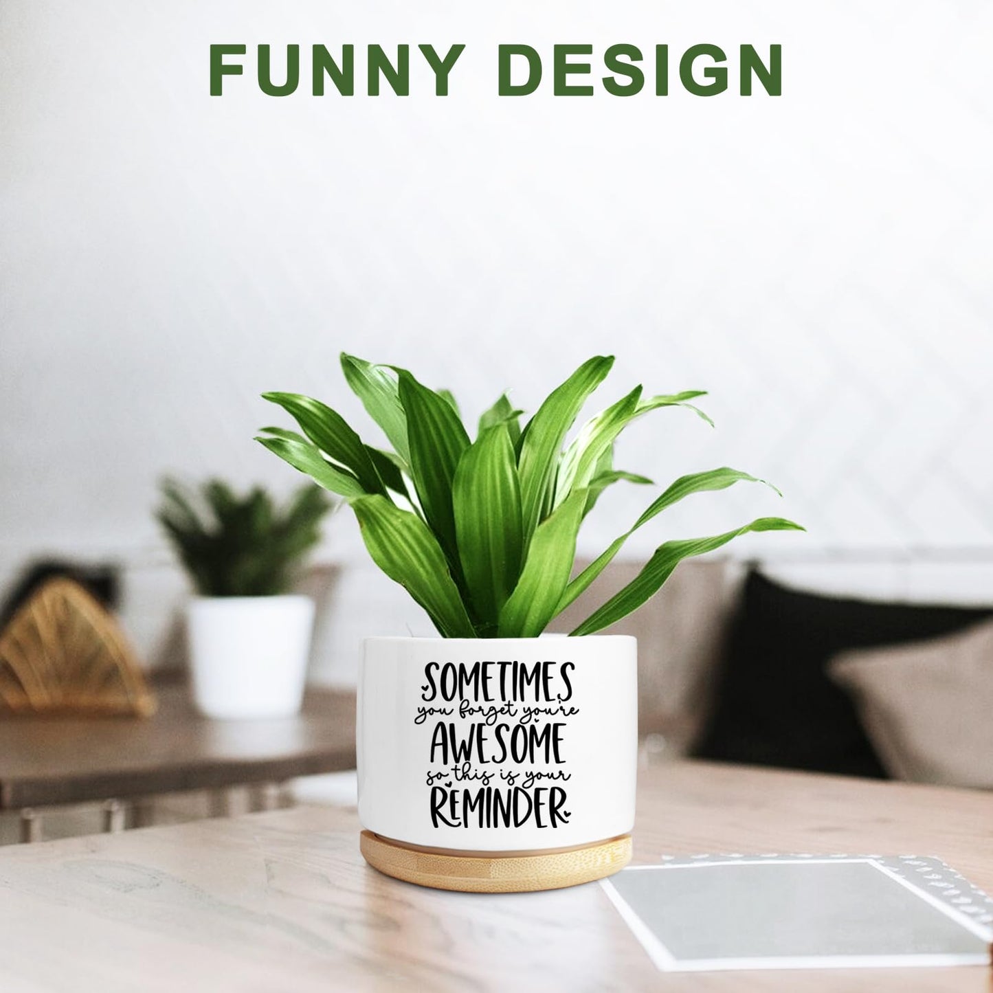 Aryabtya Cute Succulent Planter, Flower Cactus Plant Pot Gifts, Thank You Inspirational Gifts for Women Men Coworkers Teachers Plant Lovers, Office Home Windowsill Indoor Decor (No Plants)
