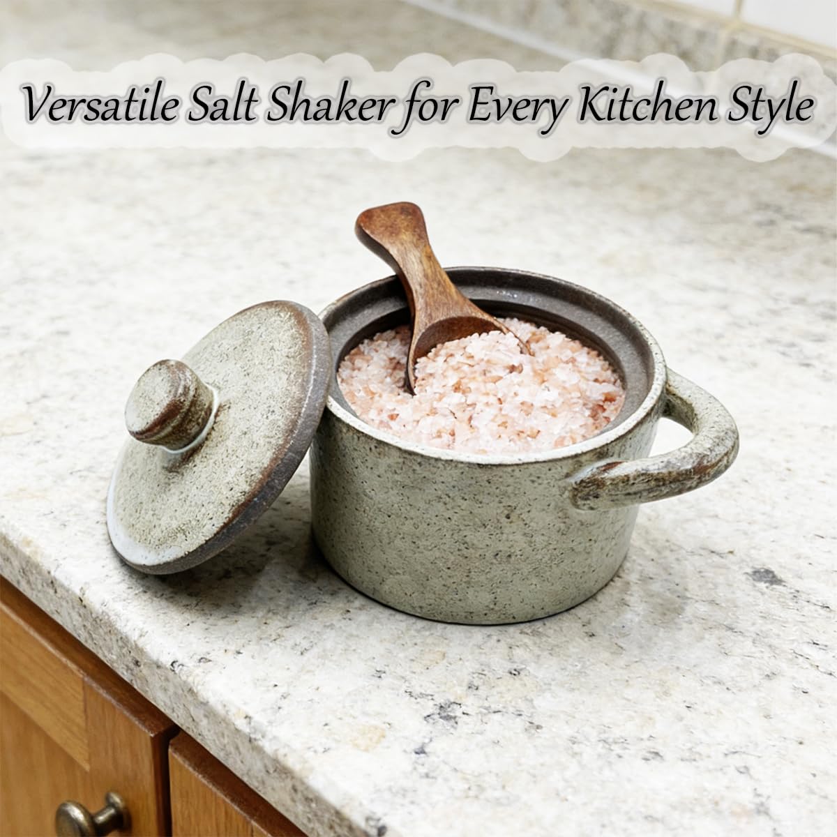 EWEIGEER Ceramic Salt Cellar With Lid & Spoon,8oz Salt Container For Countertop,Sugar Bowl,Spice Jar(Coarse Pottery Color)