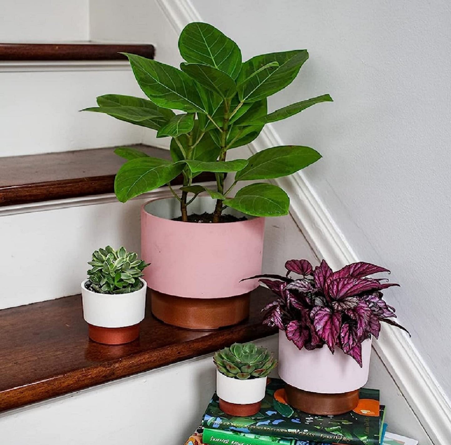 The HC Companies 3" Round Premium Plastic Sprite Pot Succulent Planter with Drainage - Vanilla Bisque with Copper Bottom Color