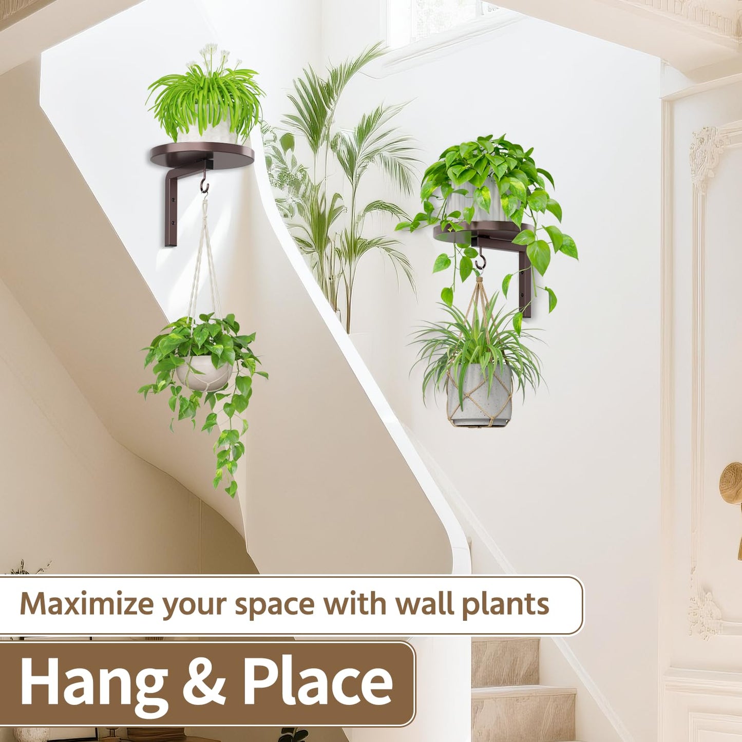 LASZOLA Plant Hangers Shelves Wall Mounted Indoor, Metal Window Plant Holders, 2Pcs Modern Floating Flower Display Stand with 2 Hooks for Outdoor Kitchen Bathroom Decor, Bronze