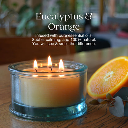 Bluecorn Botanica Beeswax 3-Wick Candle – Eucalyptus & Orange, 100% Pure Beeswax & Essential Oils – 10oz Hand-Blown Recycled Spanish Glass – Non Toxic, Clean Burning, Refillable Glass Jar