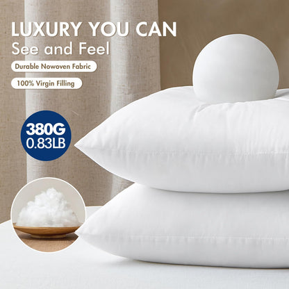 MIULEE Set of 4 Throw Pillow Inserts 20x20 Inches, 100% Virgin Filling Nowoven Pillow Inserts for Couch Sofa Living Room