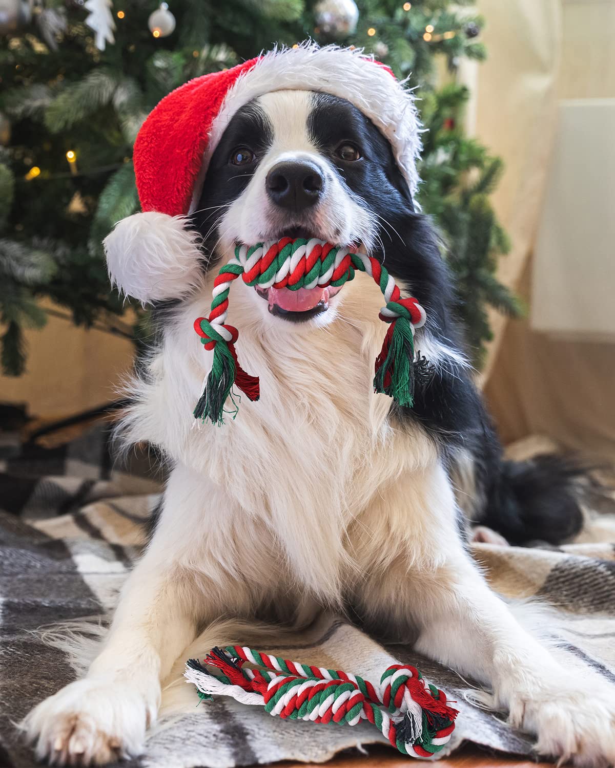 Pweituoet Christmas Dog Toys with Dog Christmas Stocking, Adorable Gifts for Puppy Small Medium Large Dog