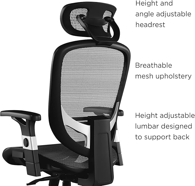 Union & Scale Ergonomic Task Chair