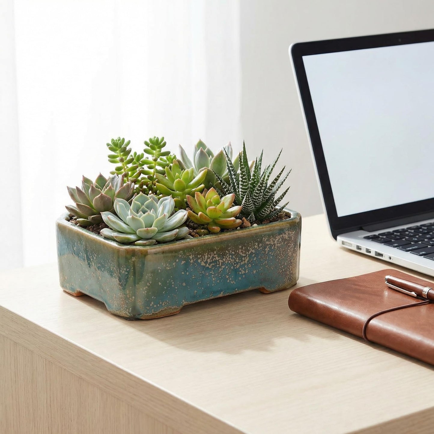 krayce Serenya Ceramic Bonsai Pot Set - 6.3" Rectangular Planter with Drainage Tray, Handmade Kiln-Glazed, Indoor/Outdoor for Succulents, Herbs, Bonsai | Unique Gift for Plant Lovers