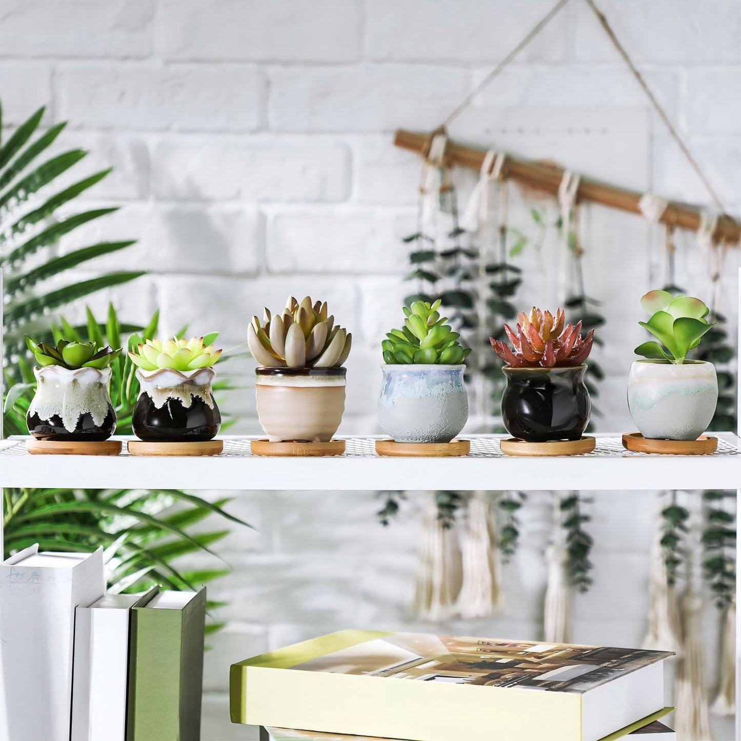 Remerry 18 Pcs Small Succulent Pots Bulk with Drainage 2.5 Inch Assorted Mini Ceramic Succulent Planters Pot with Coaster Bamboo Plant Tray Planting Pots for Home Office Garden