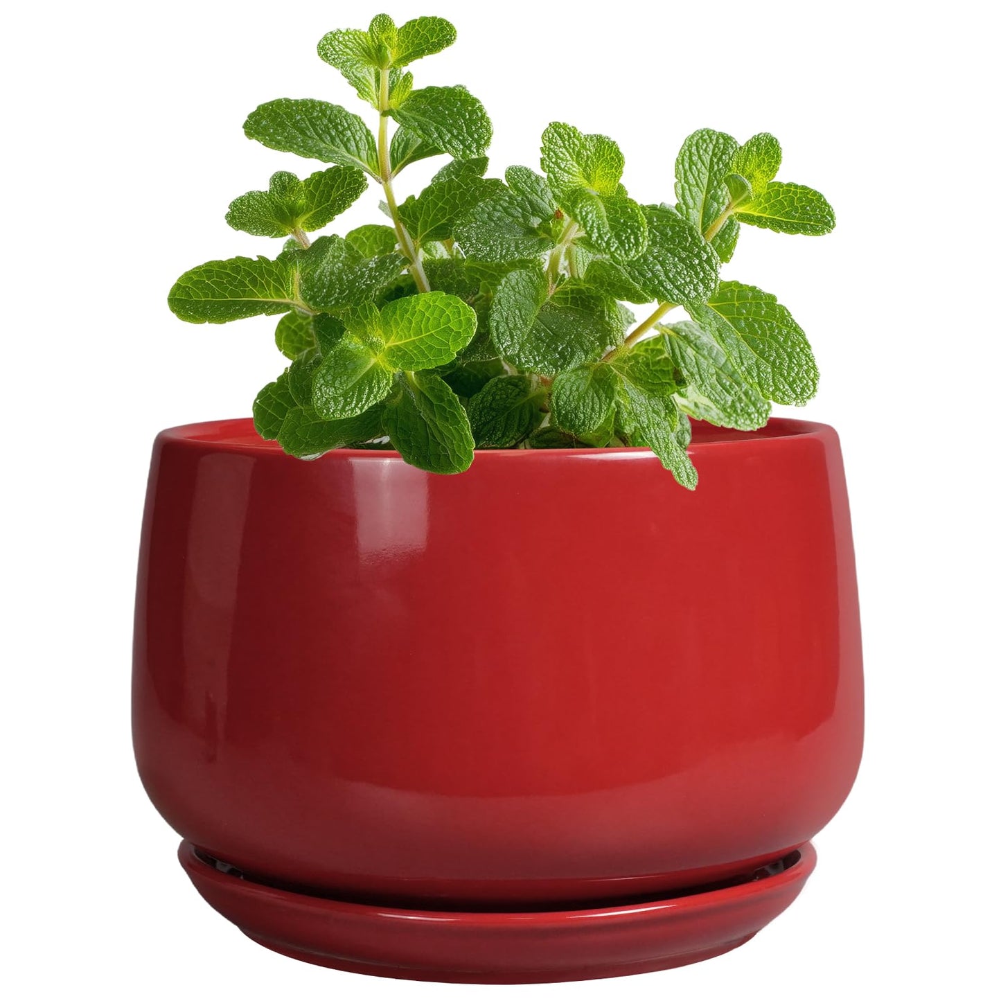 G EPGardening Ceramic Pots for Plants - 4 inch Succulent Pots Indoor Outdoor, Small Planter with Drainage Hole & Tray, Modern Flower Pot, Decorative Round Planter, Living Room Decor, Home Gifts, Red