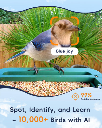 WingHome Bird Feeder with Camera, 32MP Photos & 4K Video with Live View, 5GHz/2.4GHz WiFi, AI Identify Birds Species and Instant Arrival Alerts for Bird Lovers