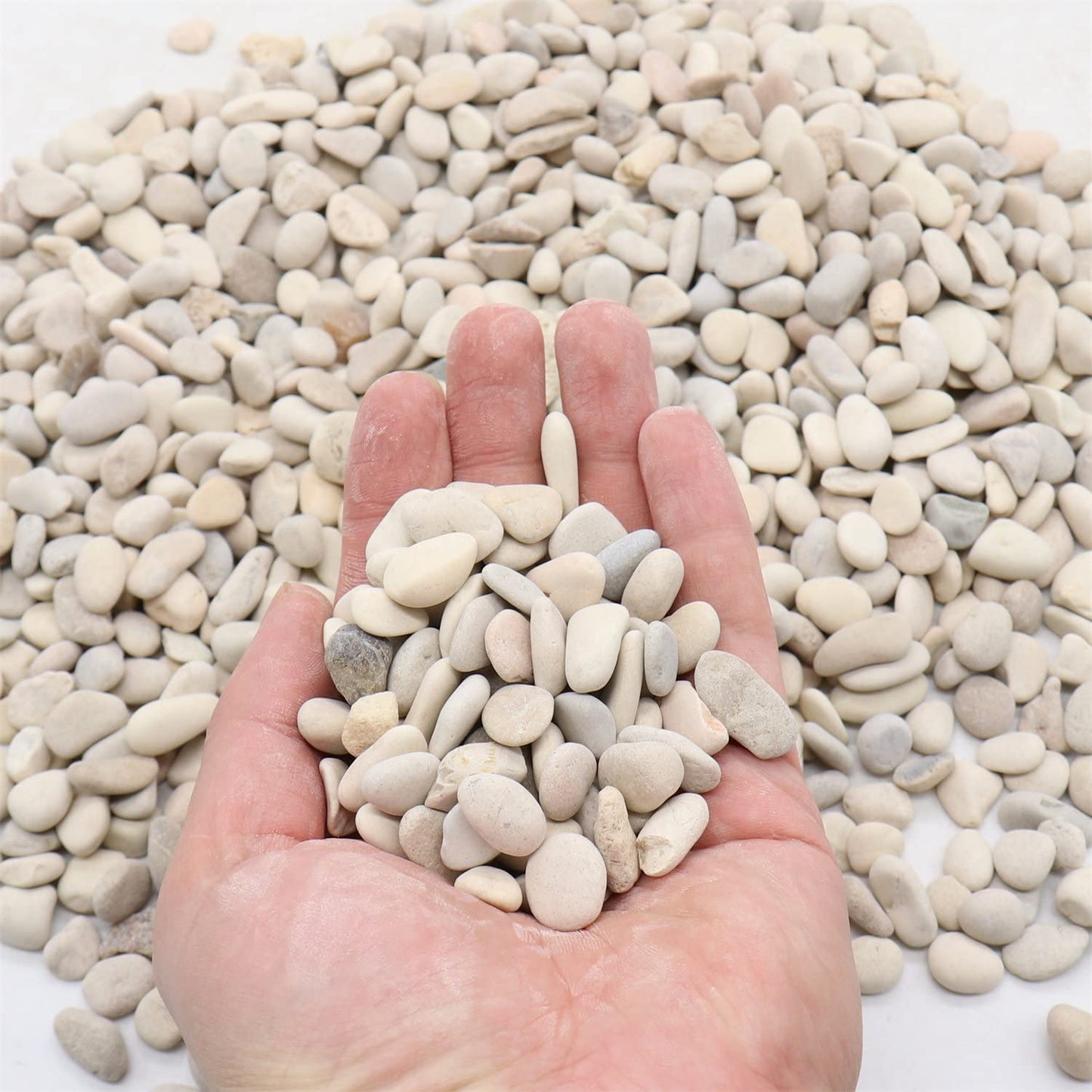 Premium Pebbles Rocks - Cream White Decorative Pebbles, 3/8 Inch - 10 lbs. Landscaping and Garden Stones, Suitable for Succulents and Pots