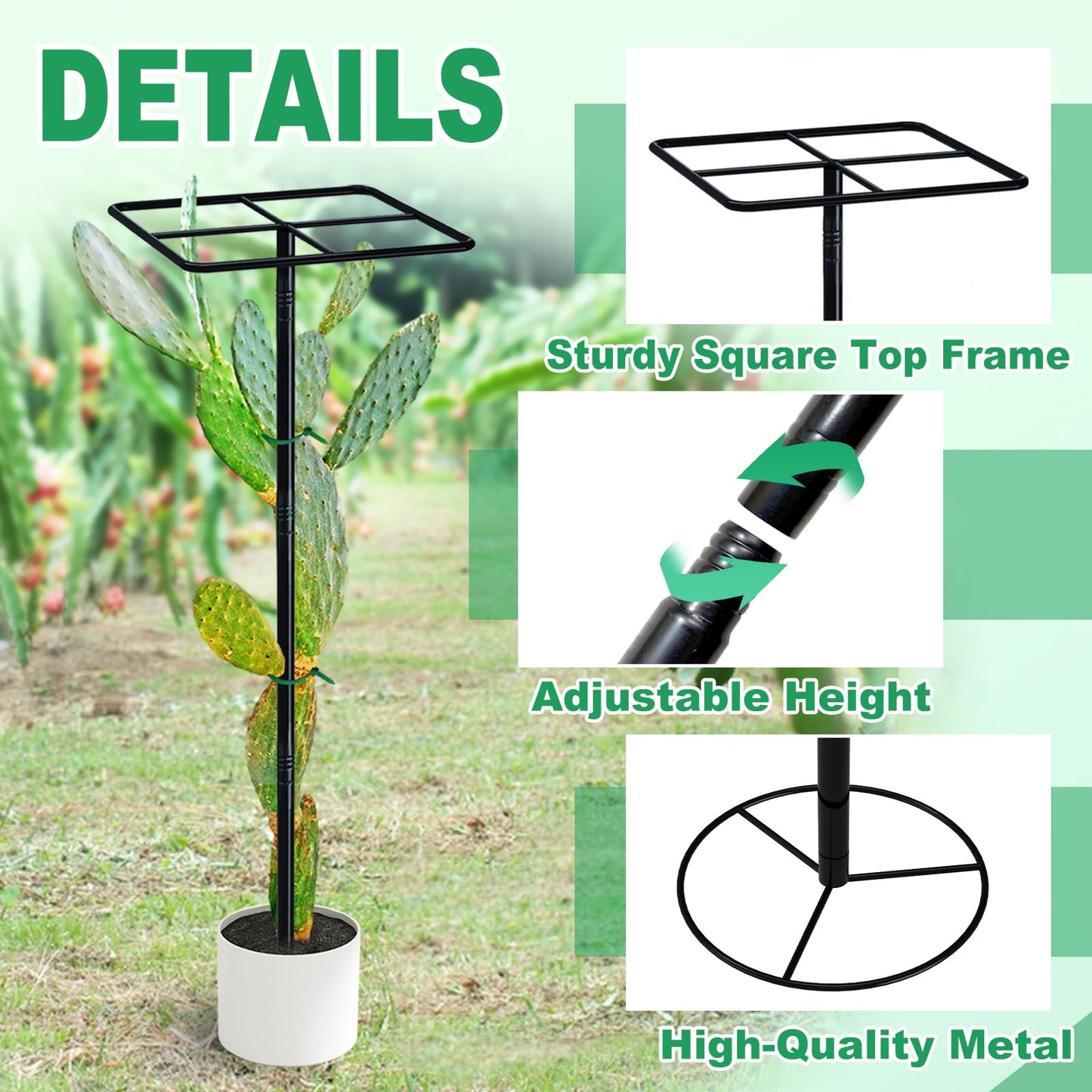 iCHKED 63'' Metal Dragon Fruit Trellis, Adjust Durable Dragon Fruit Plant Trellis Support Garden Fruit Stand for Vertical Climbing Plants Trees Cactus Roses Vines Outdoor Indoor,1 Pcs