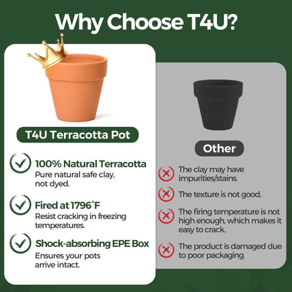 T4U 6.5CM Terracotta Plant Pots 12 Pcs, Mini Terracotta Pots with Drainage Holes, Small Clay Pots for Crafts, Small Plant Pots for Succulent Cactus Plants, DIY Mini Flower Pot, Gifts for Party Decor